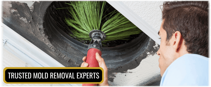 Air Duct Mold Removal in Katy