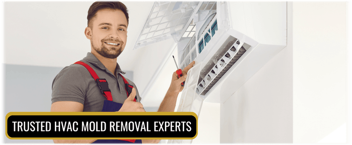 HVAC Mold Removal Katy